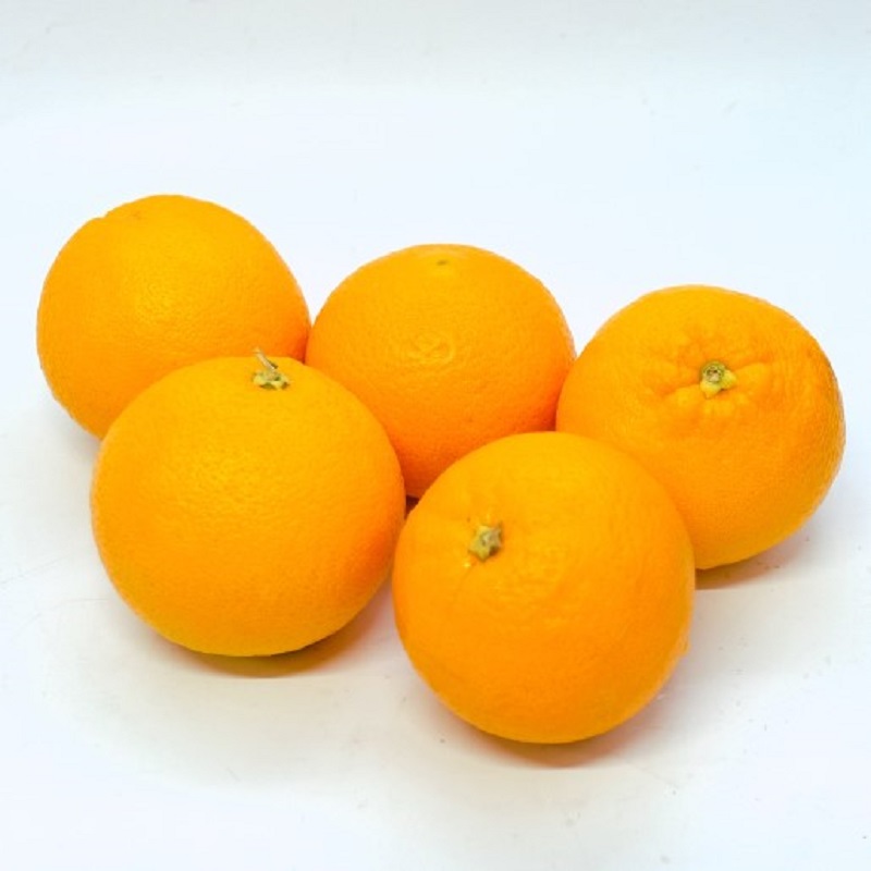 005A381 オレンジとオレンジのコンポートセット（オレンジ５個,オレンジのコンポート1個）