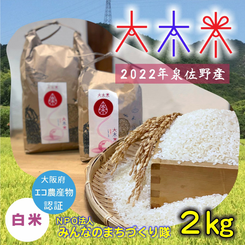 005A497 日本遺産の棚田景観で育てた大木米（白米）2kg