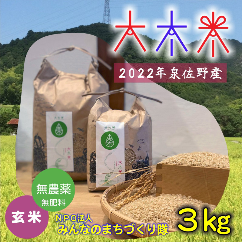 010B1130 日本遺産の棚田景観で育てた大木米（無農薬 玄米）3kg