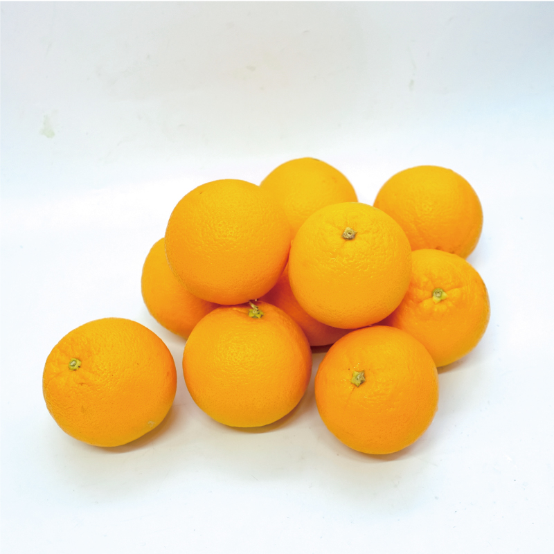 010B800 オレンジとオレンジのコンポートセット（オレンジ10個,オレンジのコンポート2個）