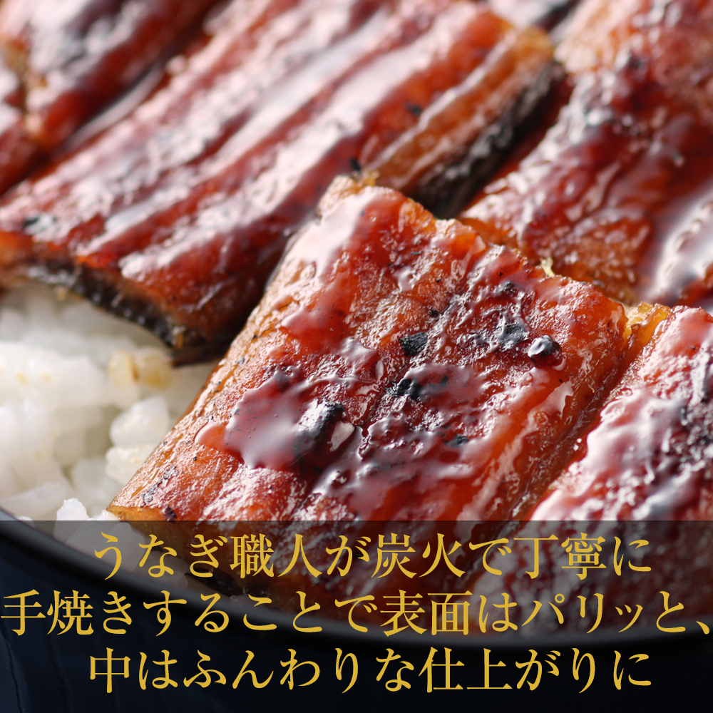 099H1797 先行予約【土用の丑の日】国産うなぎ 合計250g（約125g×2尾）秘伝のたれ 蒲焼 鰻 ウナギ 有頭 炭火焼き 備長炭 手焼き