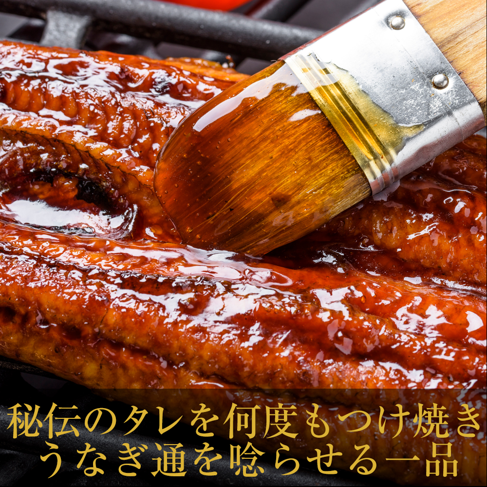 099H1797 先行予約【土用の丑の日】国産うなぎ 合計250g（約125g×2尾）秘伝のたれ 蒲焼 鰻 ウナギ 有頭 炭火焼き 備長炭 手焼き