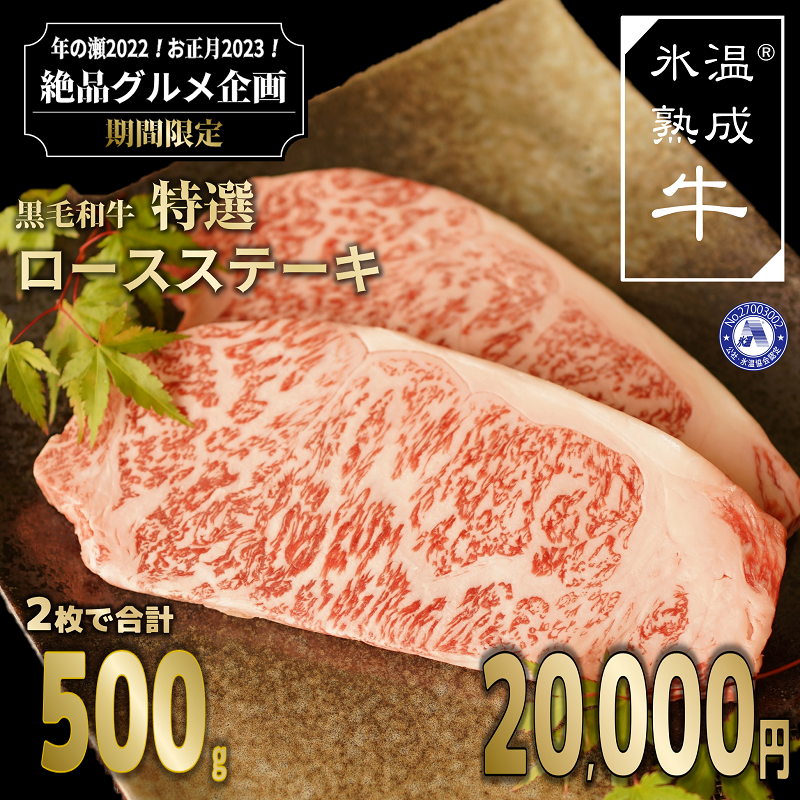 020C267 年内発送 黒毛和牛 特選 ロースステーキ（2枚で合計500g）氷温(R)熟成肉