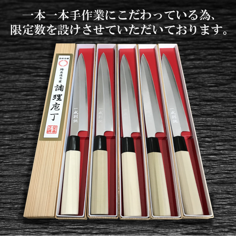 030D116 日本鋼 柳刃包丁 210mm 刺身包丁 一生もの 一成刃物 和包丁