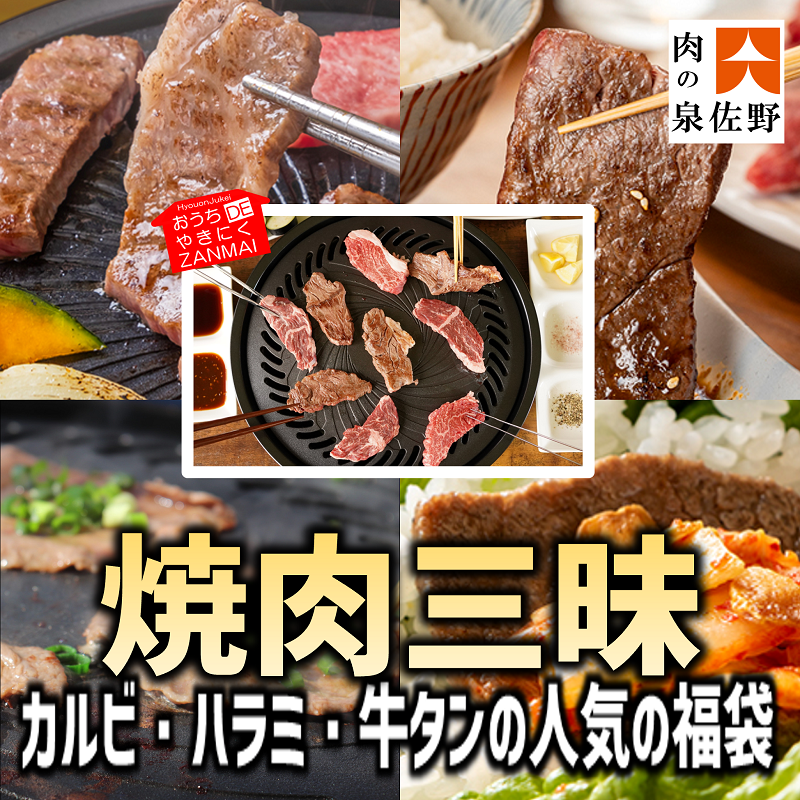 099H1510 氷温(R)熟成牛 福袋 合計1.5kg 【16,000円コース】