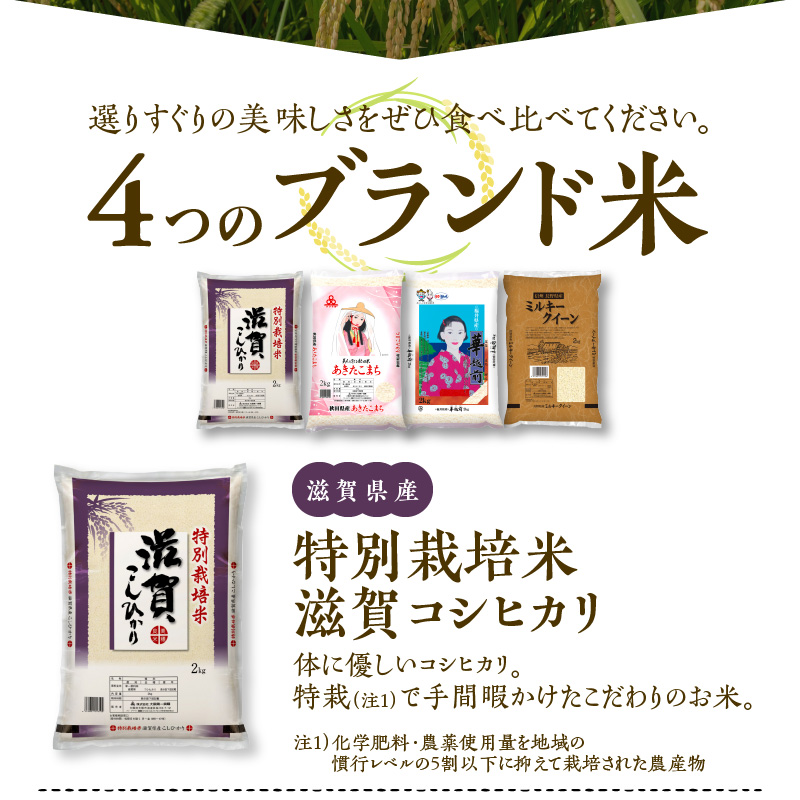 099H1777 【至福の食べ比べ〜シルバーコース〜】 合計8kg（2kg×4種類）タワラ印 米 福袋