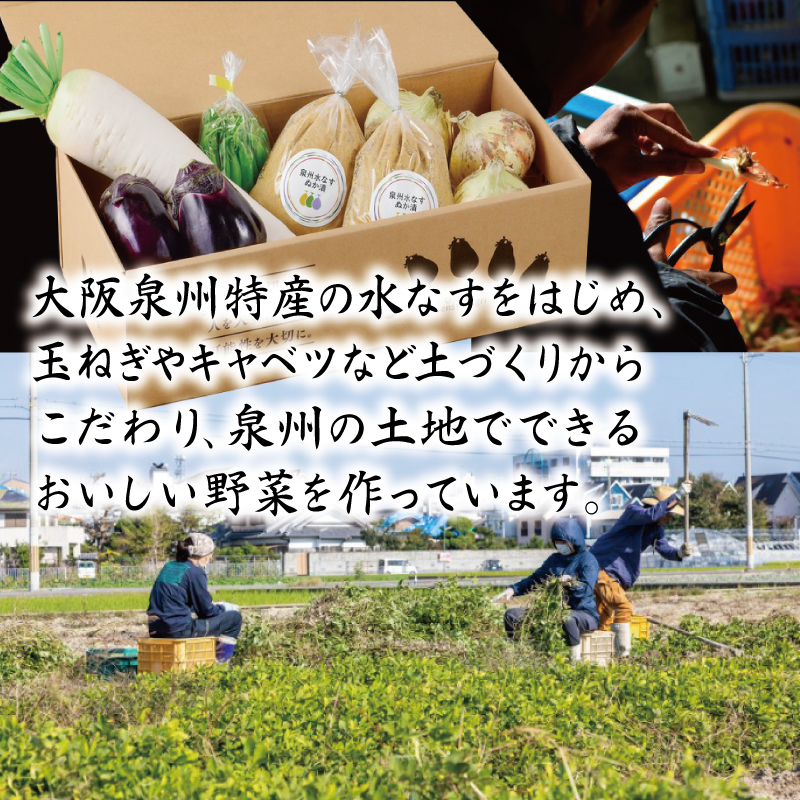 099H2857 ねね屋のとれたて野菜セット 5品目以上 詰め合わせ