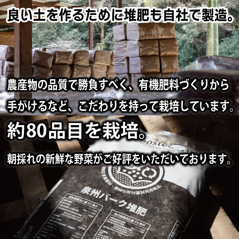 099H2857 ねね屋のとれたて野菜セット 5品目以上 詰め合わせ