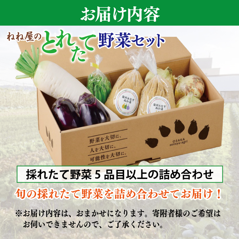 099H2857 ねね屋のとれたて野菜セット 5品目以上 詰め合わせ