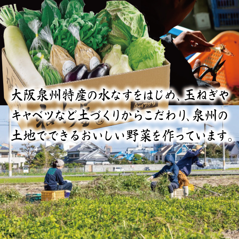 099H2858 ねね屋のとれたて野菜セット 7品目以上 詰め合わせ