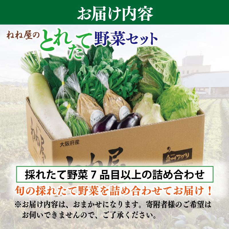 099H2858 ねね屋のとれたて野菜セット 7品目以上 詰め合わせ