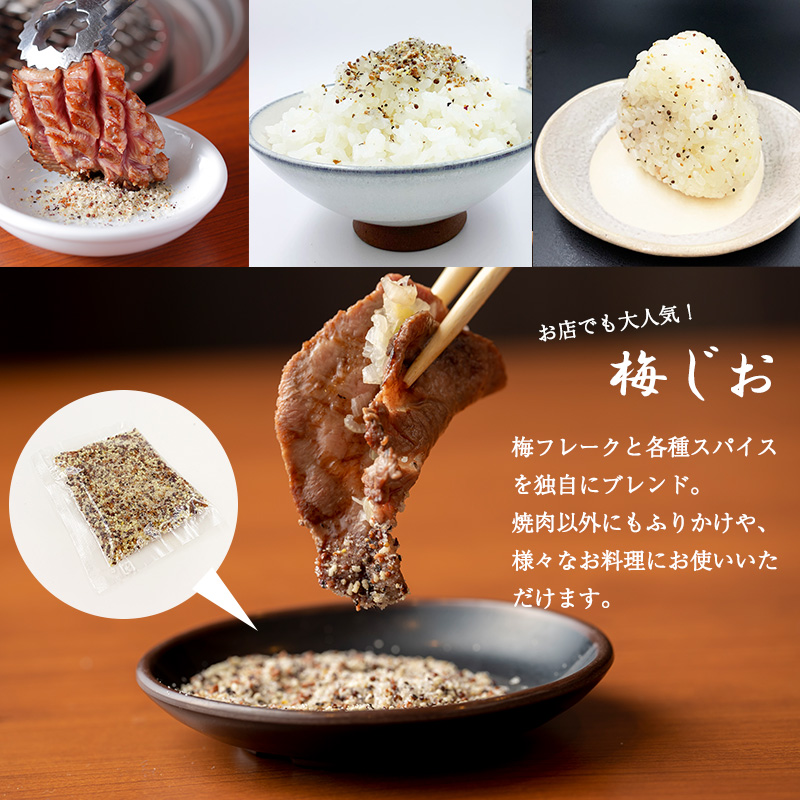 099H908 極厚 黒毛和牛ヒレ 角切りステーキ 500g オリジナル梅塩2P付