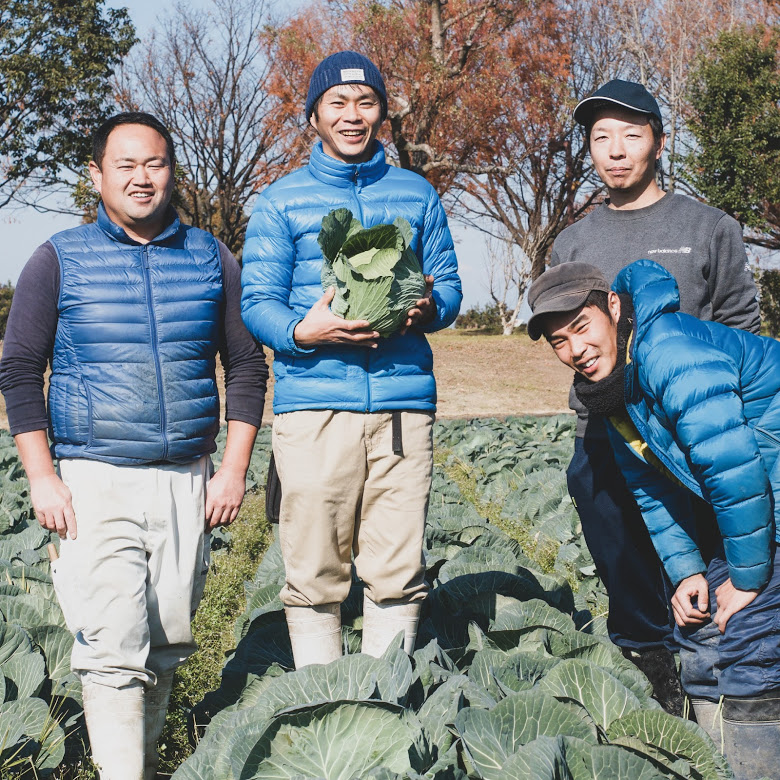 099Z090 泉州野菜 定期便 全6回 詰め合わせ 7種 旬 朝採れ 新鮮 おまかせ 直送【毎月配送コース】