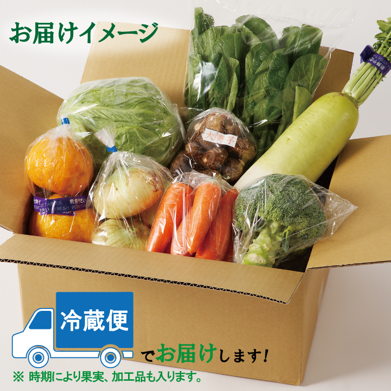 099Z113 泉州野菜 定期便 全6回 7種類以上 詰め合わせ 国産 新鮮 冷蔵【毎月配送コース】