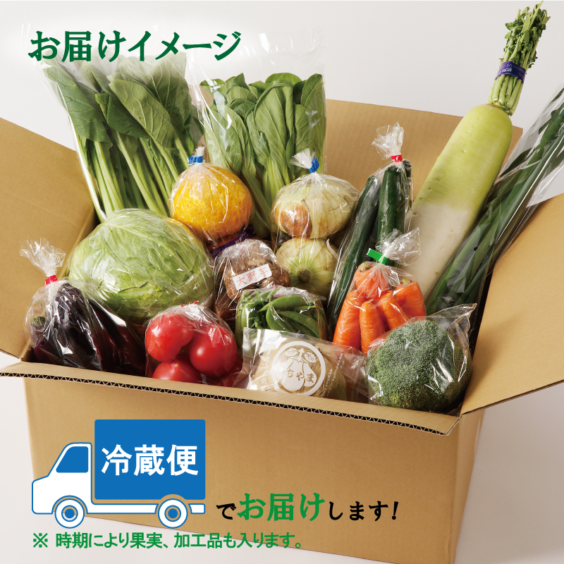 099Z114 泉州野菜 定期便 全3回 15種類以上 詰め合わせ 国産 新鮮 冷蔵【毎月配送コース】