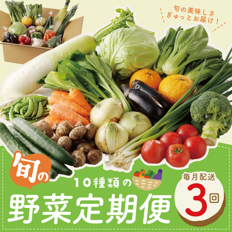 099Z184 10種類の新鮮野菜 定期便 全3回 詰め合わせ 国産 冷蔵発送【毎月配送コース】
