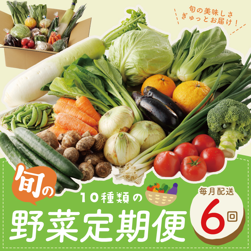 099Z186 10種類の新鮮野菜 定期便 全6回 詰め合わせ 国産 冷蔵発送 半年【毎月配送コース】