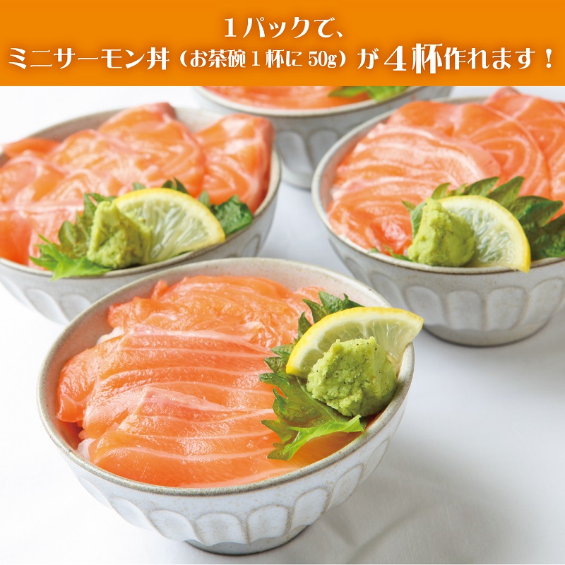 G912 アトランティックサーモン 1.2kg（200g×6）訳あり サイズ不揃い