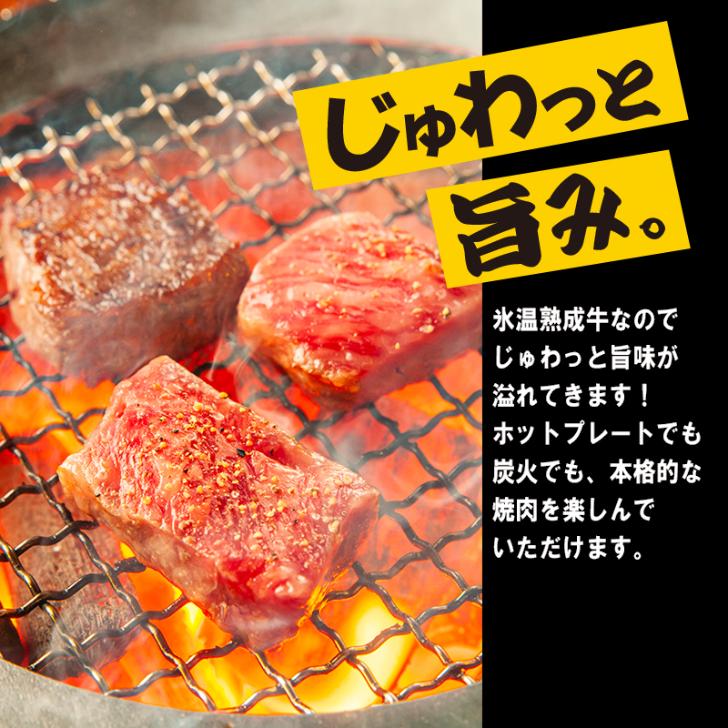 R202 牛ハラミサガリ焼肉用 1.2kg（400g×3）氷温(R)熟成肉 緊急支援 