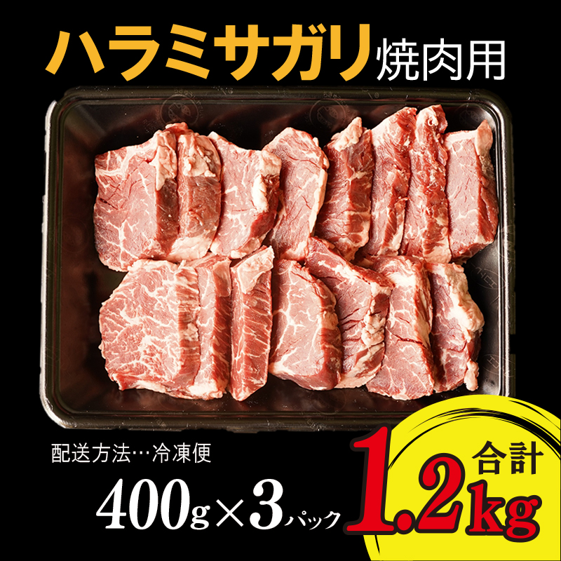 R202 牛ハラミサガリ焼肉用 1.2kg（400g×3）氷温(R)熟成肉 緊急支援 