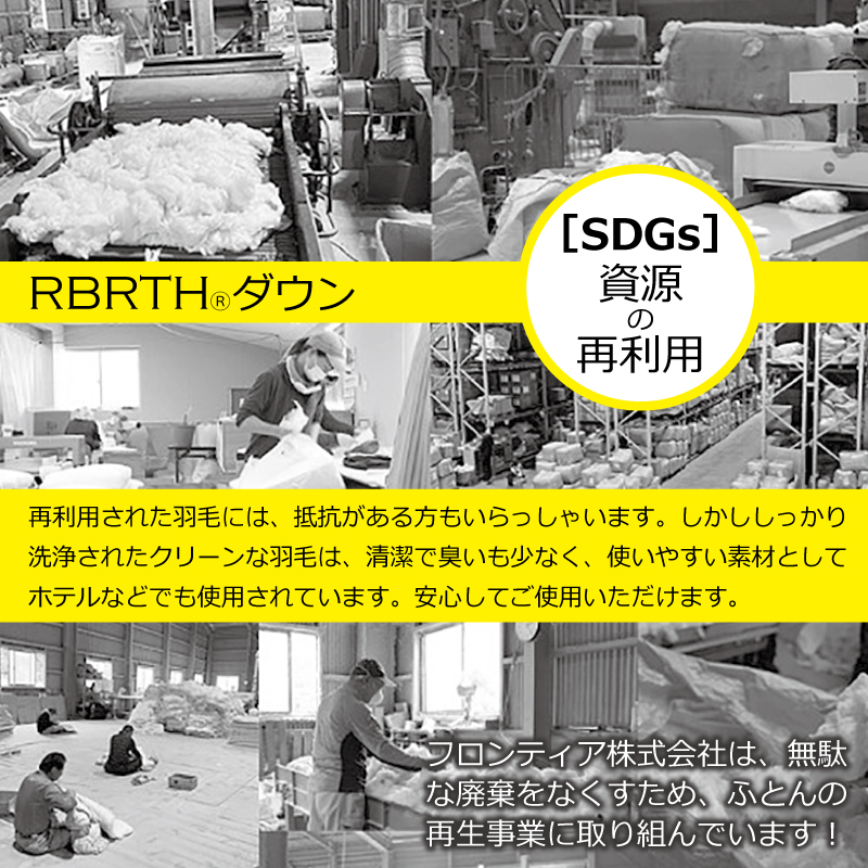G450 RBRTH(R) ダウン93% 羽毛掛ふとん シングルロング