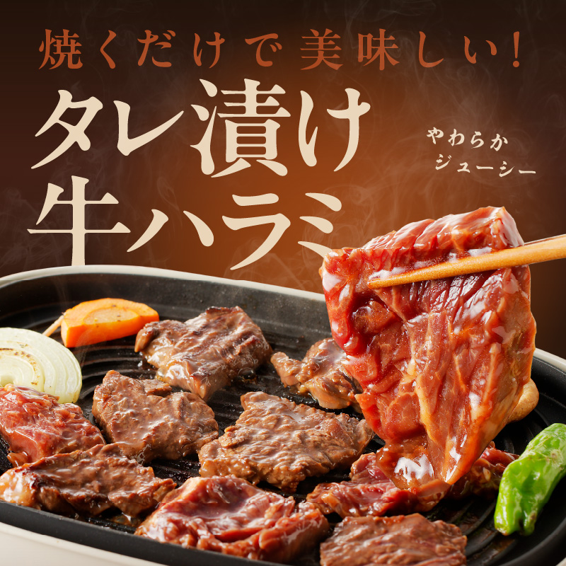 099H2604 【冷蔵配送】牛ハラミ肉 焼肉用 味付け 1.2kg（300g×4）