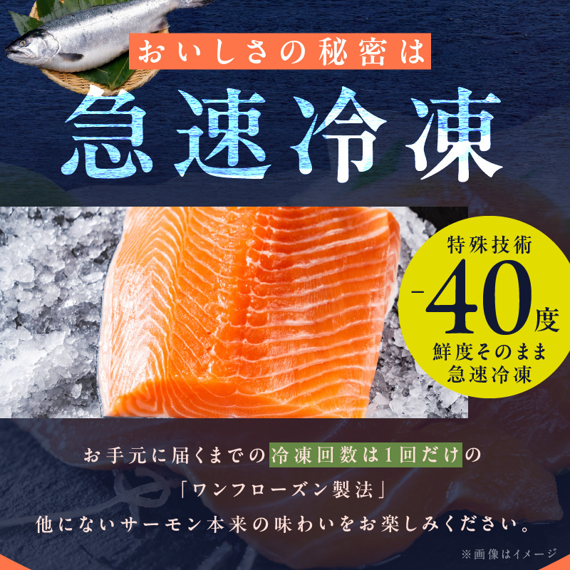 G1067 【北国からの贈り物】アトランティック サーモン 400g 小分け 200g×2パック 刺身 海鮮丼 カルパッチョ ムニエル