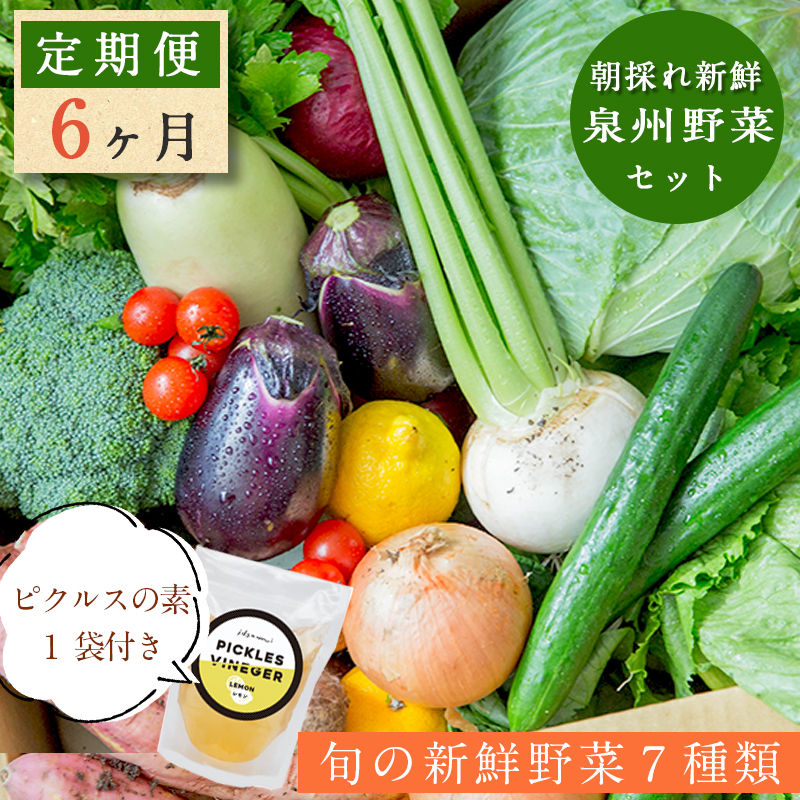 099Z090 泉州野菜 定期便 全6回 詰め合わせ 7種 旬 朝採れ 新鮮 おまかせ 直送【毎月配送コース】