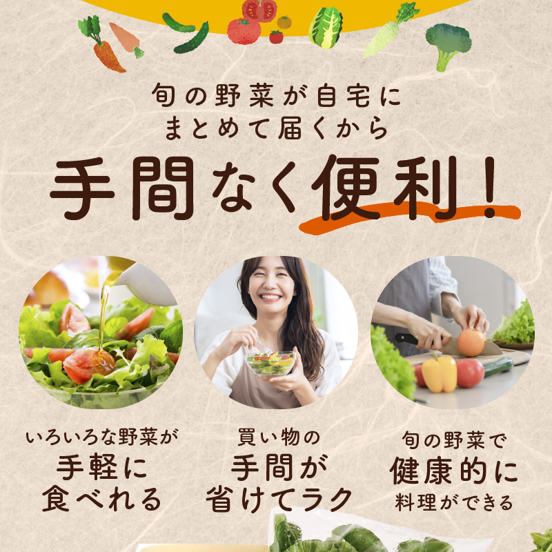 099Z111 泉州野菜 定期便 全3回 7種類以上 詰め合わせ 国産 新鮮 冷蔵【毎月配送コース】