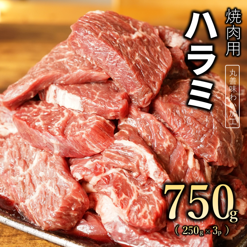 099H2442 【丸善味わい加工】牛肉 ハラミ 750g（250g×3）