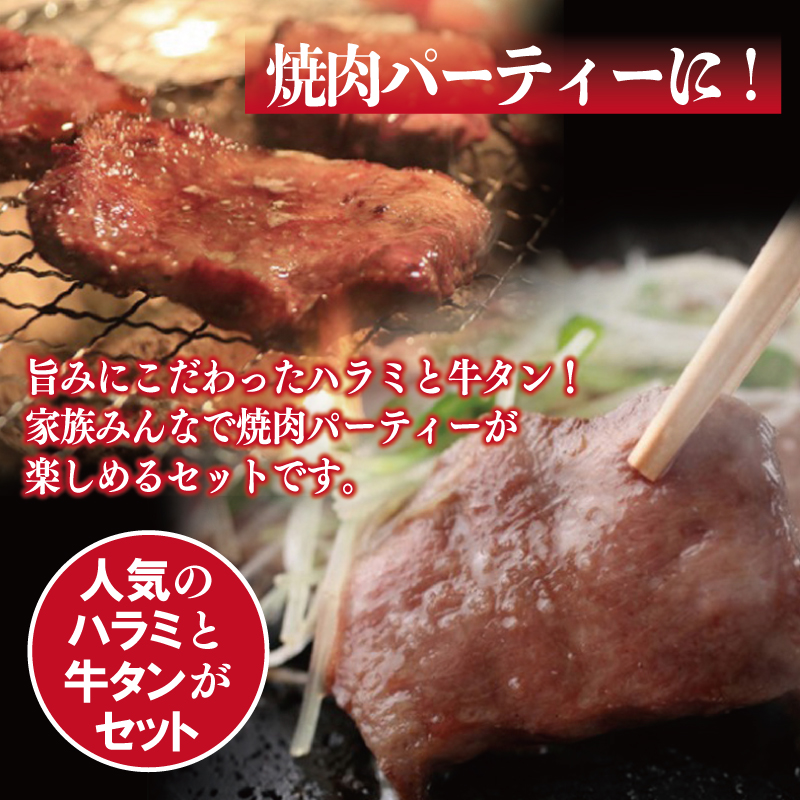 G506 大人気 ファミリー向け 焼肉セット 牛たん 牛ハラミ肉 合計1.4kg