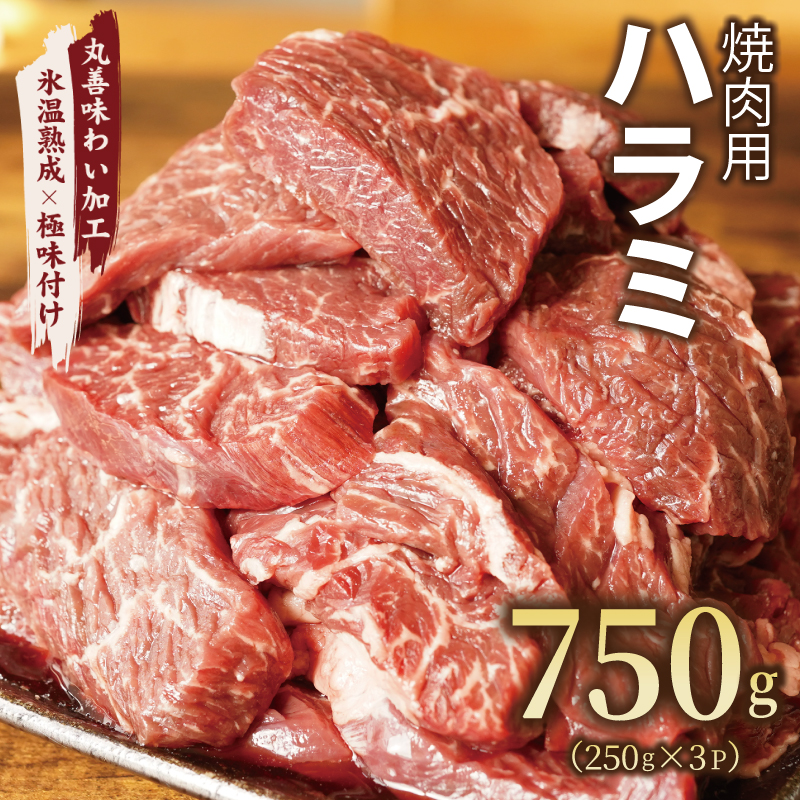 099H2442 【丸善味わい加工】牛肉 ハラミ 750g（250g×3）