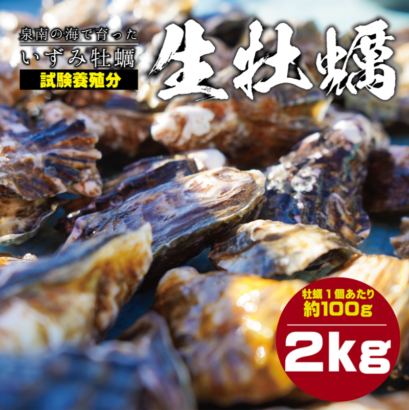 G892 泉南の海で育った「いずみ牡蠣」 試験養殖分 2kg 加熱用