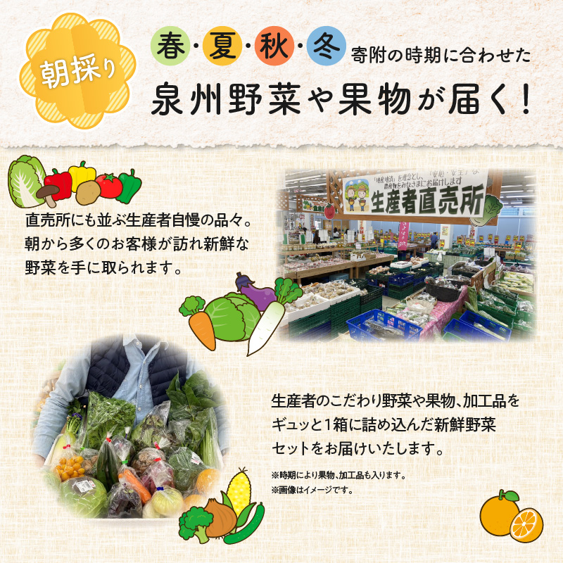 099Z114 泉州野菜 定期便 全3回 15種類以上 詰め合わせ 国産 新鮮 冷蔵【毎月配送コース】
