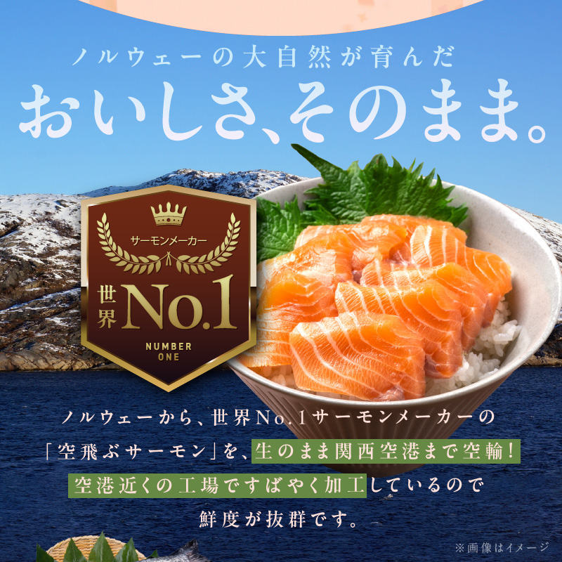 G1067 【北国からの贈り物】アトランティック サーモン 400g 小分け 200g×2パック 刺身 海鮮丼 カルパッチョ ムニエル