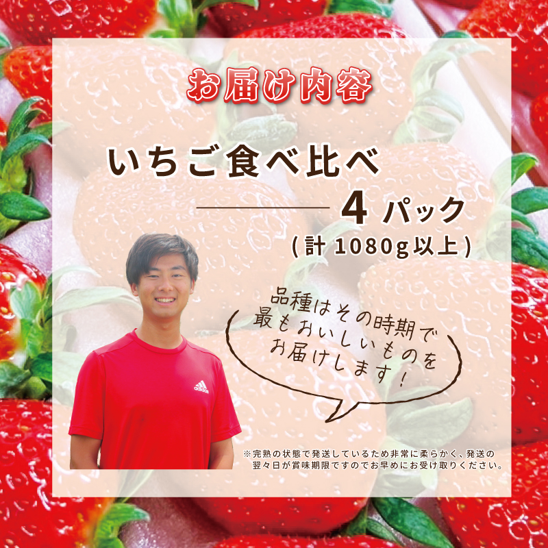 G641【先行予約／2024年1月中旬以降発送】完熟新鮮 いちご食べ比べ 4パック 合計1080g以上