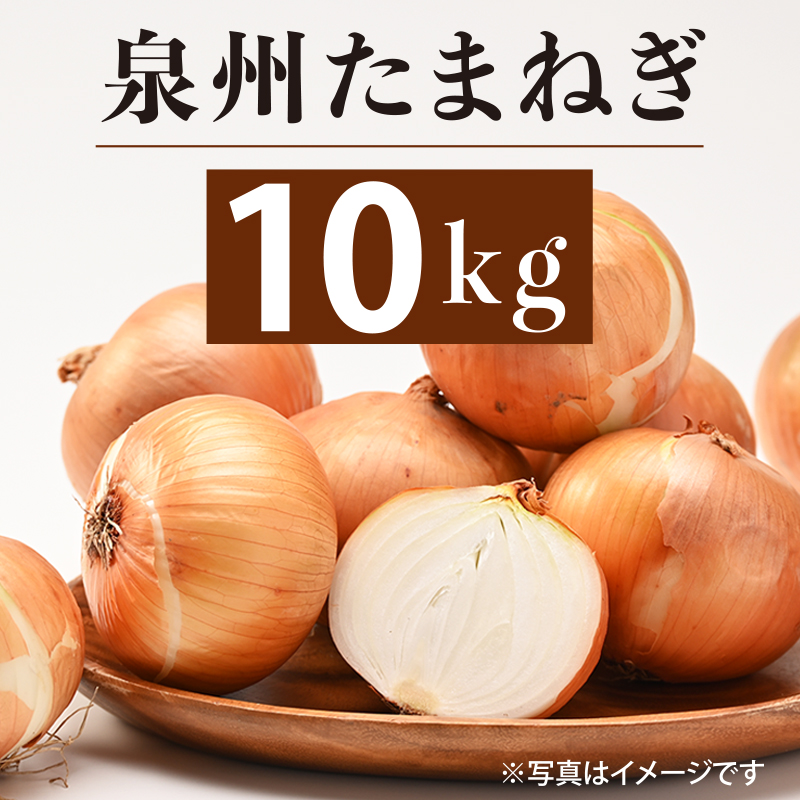 005A188 泉州たまねぎ 10kg 訳あり 玉ねぎ 射手矢農園