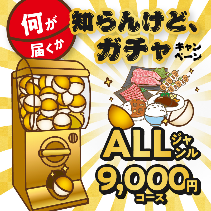 gacha011 何が届くか「知らんけどガチャ」 ALLジャンル（寄附9,000円コース）