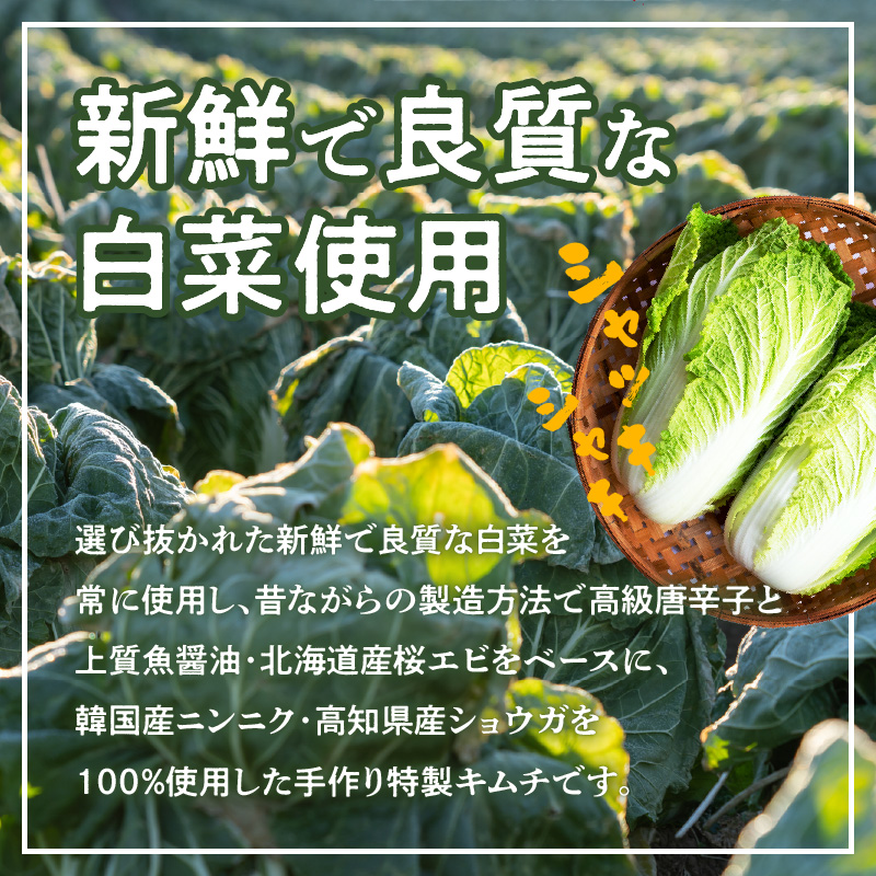 099H1677 大好評 白菜キムチ1kg