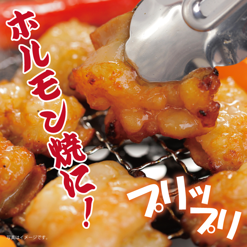 G507 塩だれ漬け 国産牛ホルモン（小腸）1kg 焼肉用 小分け 250g×4