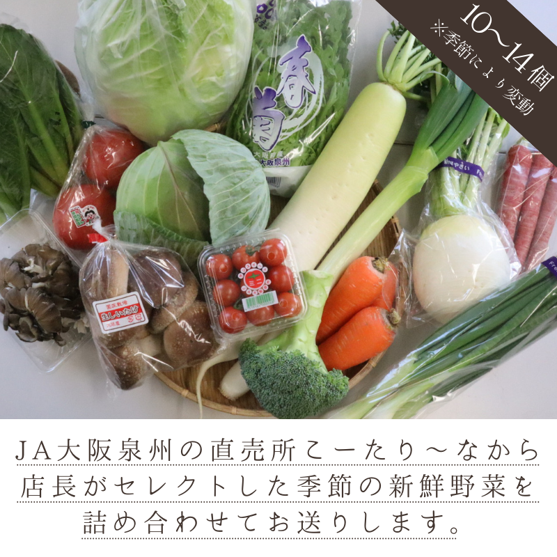099H139 直売所店長セレクト季節の野菜セット（大）